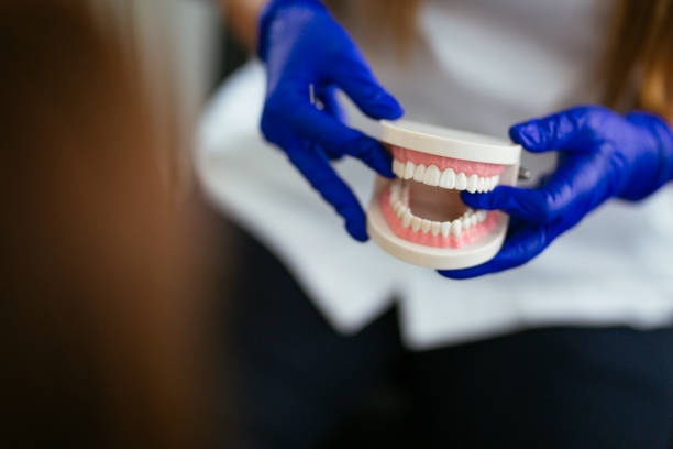 Best Dental Exams and Cleanings  in North Lynnwood, WA